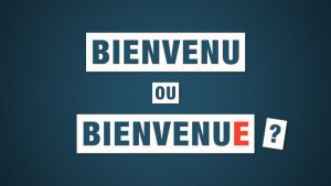 THE DIFFERENCE BETWEEN BIENVENU AND BIENVENUE visual data 3