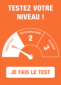 Test de niveau français