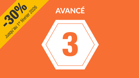 Cours de français avancé